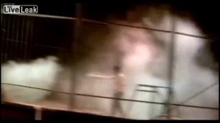 Tigre ataca domador em circo na Espanha