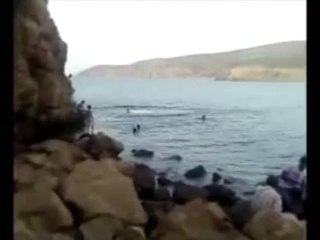 Algerie _ un plongeur fou mdrr