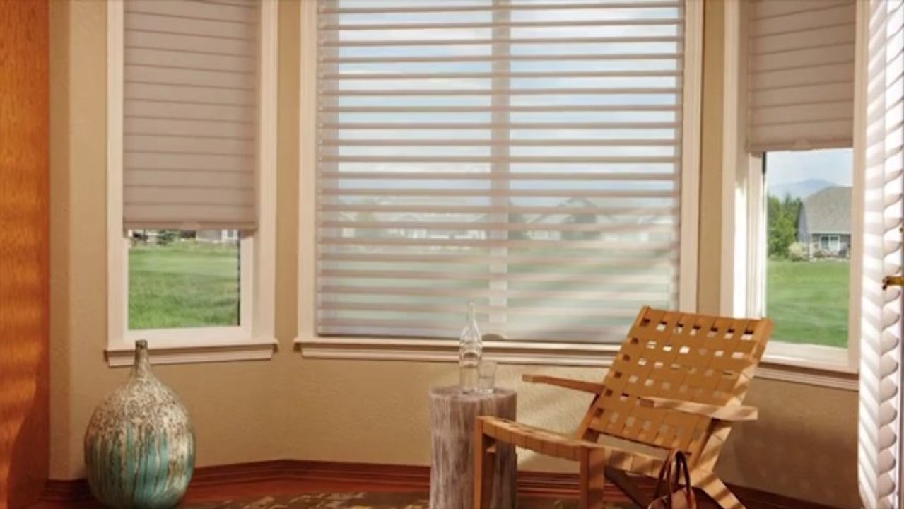 Hunter Douglas Silhouette Literise from Lerner Interiors