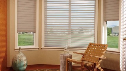Hunter Douglas Silhouette Literise from Lerner Interiors