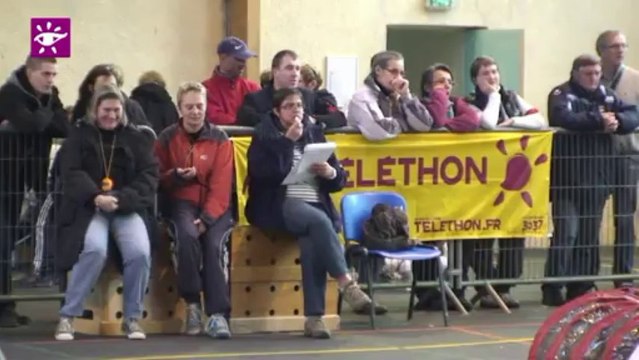 Téléthon Calvados 2013 - Mouen Agility canin