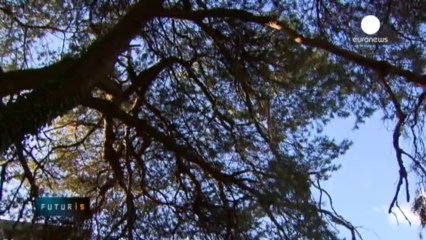 Des technologies pour voir l'invisible