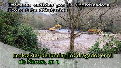Ecologistas denuncian el atentado ambiental de los dragados del río Narcea