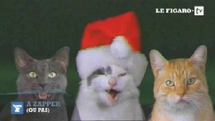 A zapper (ou pas) : "La famille Katz" va vous faire ronronner