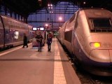 Grève à la SNCF: les prévisions de trafic pour jeudi - 11/12