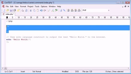 13 - comments in php on Gegasoft