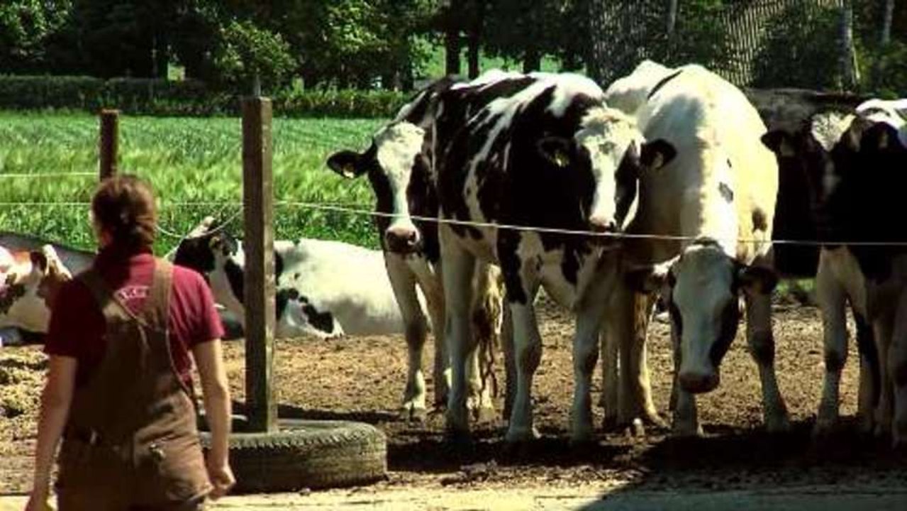 Die schöne Krista - Trailer (Deutsch) HD