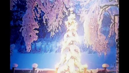 FÉNYBŐL SZŐTT ÚJ VILÁG