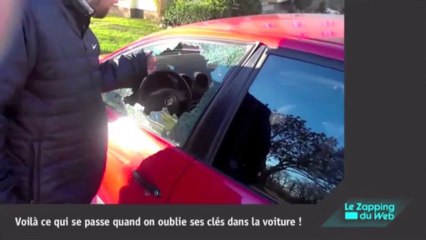 Invasion de ratons laveurs : ils adorent les Doritos !