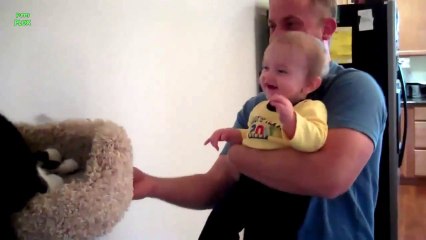 Des Bébés pliés de rire en regardant le Chat - Compilation énorme! 2013