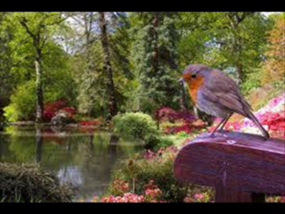 İBRAHİM TATLISES GARİP BİR KUŞTU GÖNLÜM