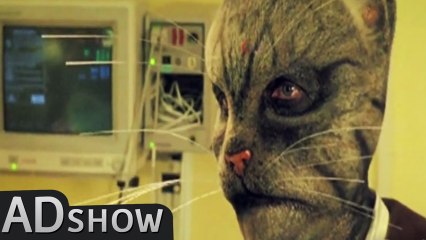 Cats: Man's worst enemy