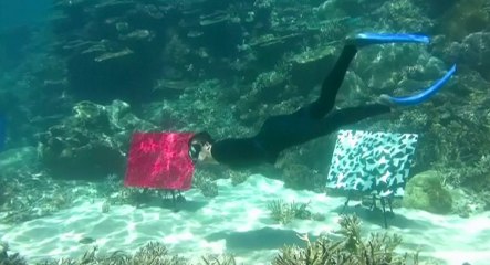 Australie : une galerie d'art sous-marine installée sur la Grande Barrière de corail