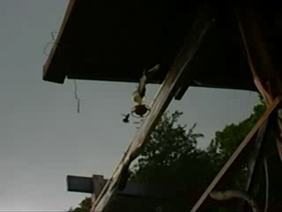 Look Out Inn Hotelan Kolibri