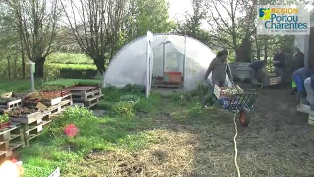 Reportage Handicap - Maraîchage Bio