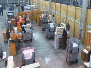 Prestation logistique du Hub de Neolog