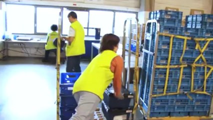 Les postiers de Roissy Hub La Poste s'engagent pour réduire leur impact  sur l'environnement