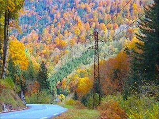 MERVEILLES de la NATURE en MUSIQUE