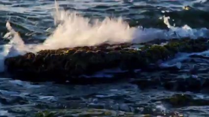 Lidija Sabo - Romance