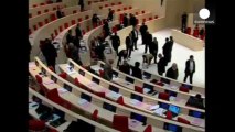 Fight in Georgian parliament over row to back Ukrainian opposition