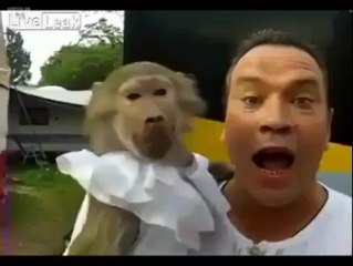 Monkey vs Man Very Funny lol
