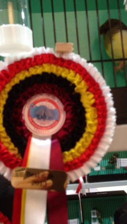 Anadolu Gloster Kulüp Yarışması 1.ler...