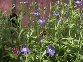 2002 Summer Film 🎬