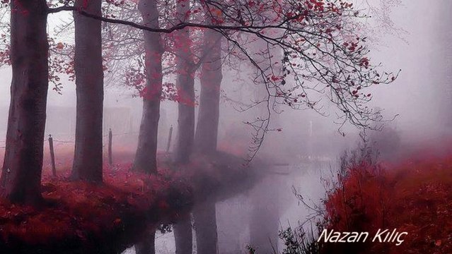 Münip Utandı - - Bir kendi gibi zâlimi sevmiş yanıyormuş