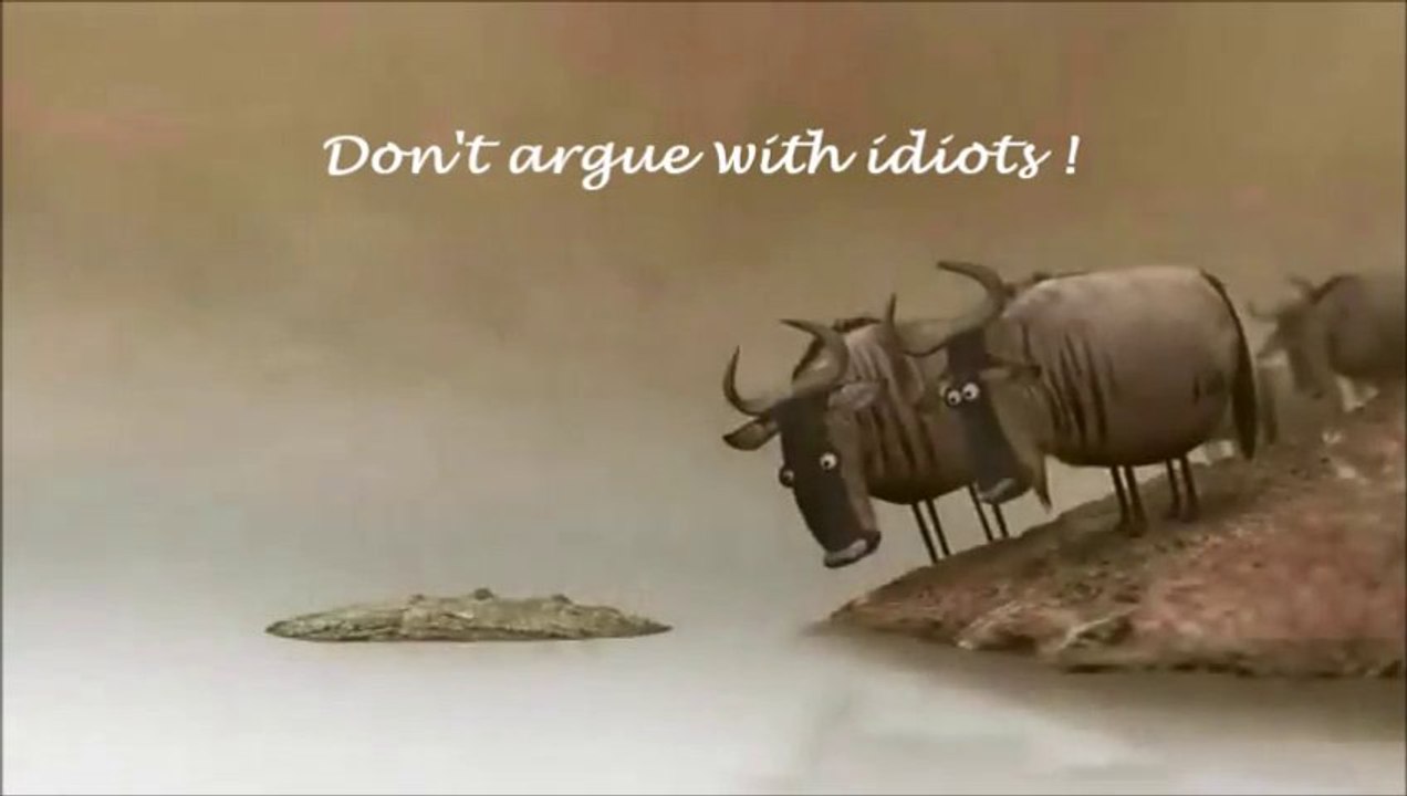 Don't argue with idiots !