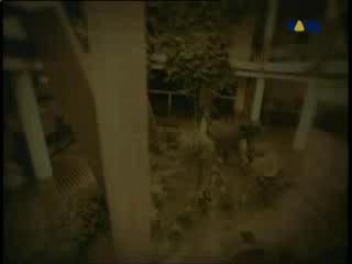 Carlos Vives - Carito