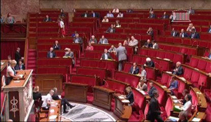 RECHERCHE SUR L'EMBRYON ET LES CELLULES SOUCHES EMBRYONNAIRES (vote solennel) - Mardi 16 Juillet 2013