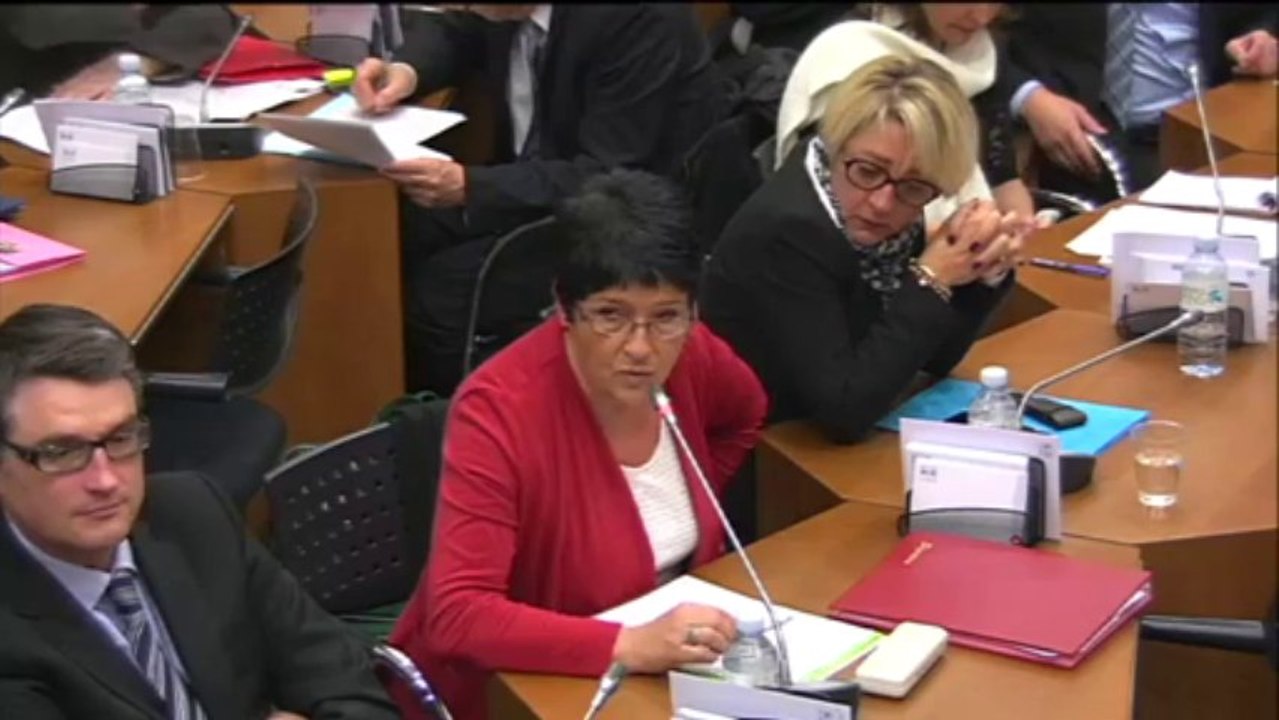 Ecotaxe poids lourds - Mercredi 11 Décembre 2013