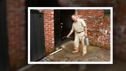 Mosquito Control Services