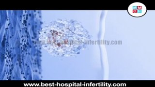 Embryo Glue Treatment Tamil Nadu