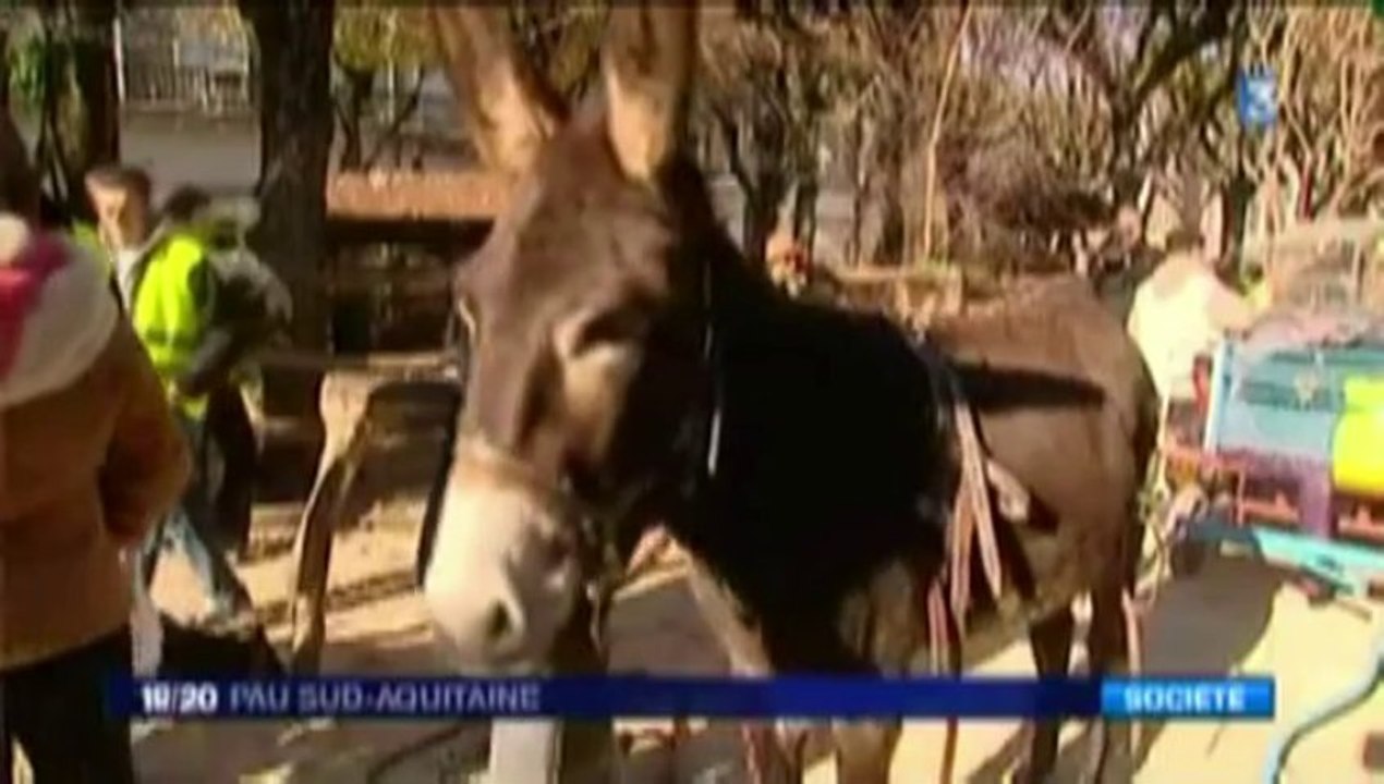 La Ferme Alternative au village de Noël