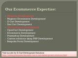 Expert Ecommerce Solutions for Your Online Store