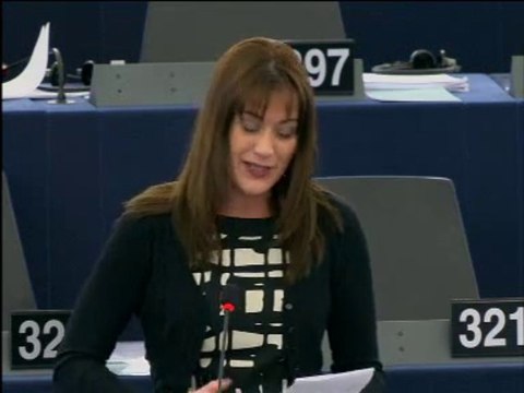 Sandrine Bélier sur les trames vertes en Europe (11 décembre 2013)