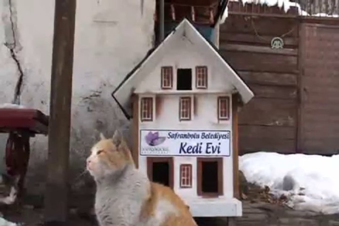 Kedilere özel Safranbolu evi