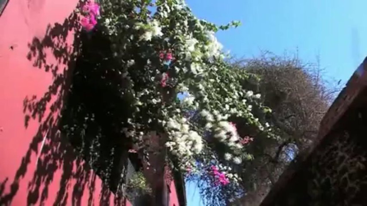ile de gorée