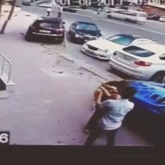 Chat Psychopathe Attaque un Chien en Mode Kung Fu !!!