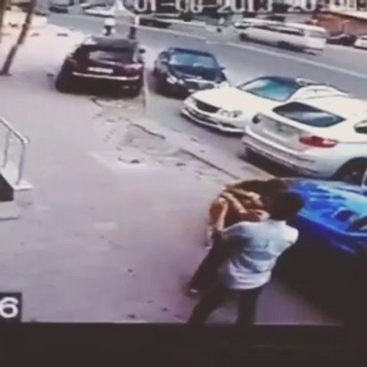 Chat Psychopathe Attaque un Chien en Mode Kung Fu !!!