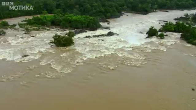 МОТИКА: Татко го ризикува својот живот за да го нахрани семејството