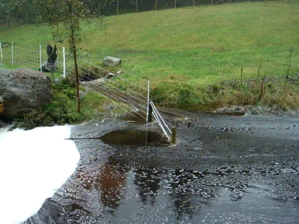 Es regnet und regnet und...I 29.10.2010