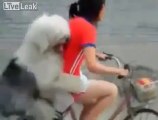 Çinli kız ve köpeği bisiklete biniyor