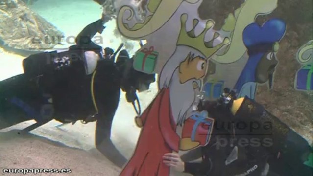 El tradicional belén de tiburones del Zoo de Madrid