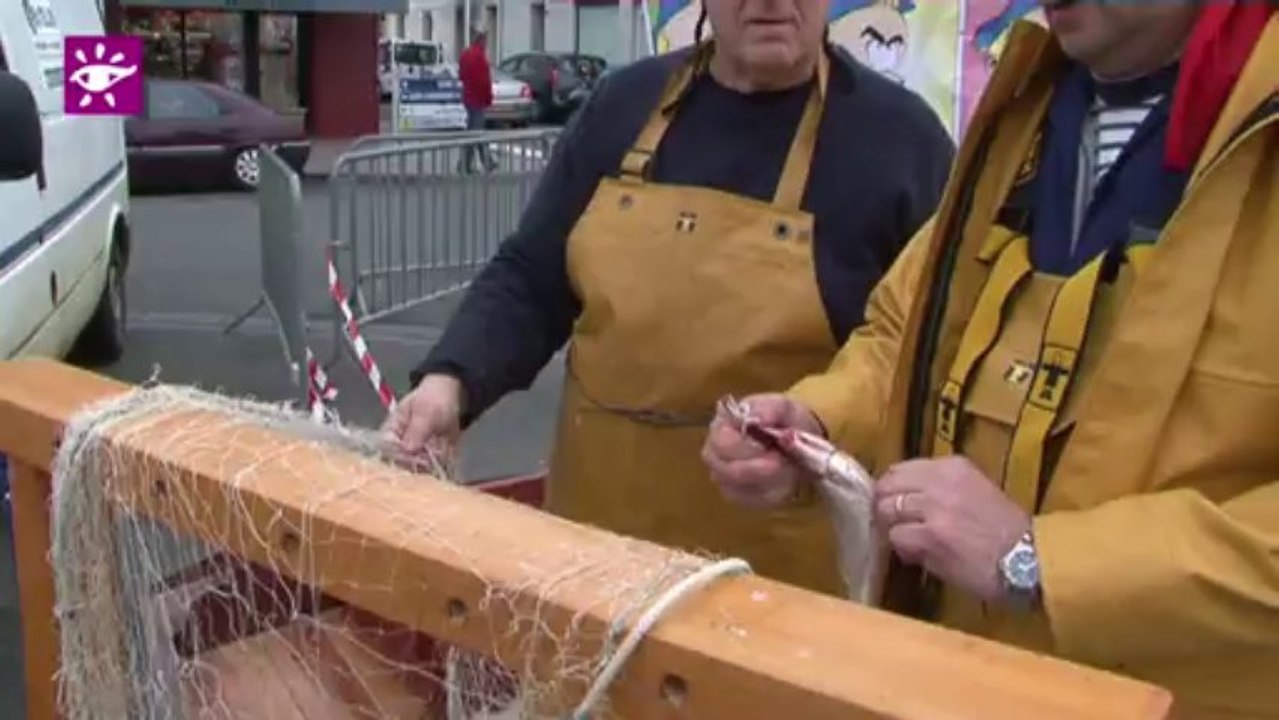 Téléthon 2013 : coulisses de la Caravane du Nord France Télévisions à Etaples (62)