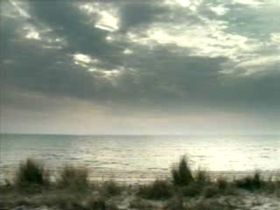 La-nature-ce-revolte