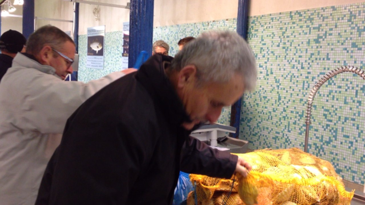 Les coulisses de la halle aux poissons