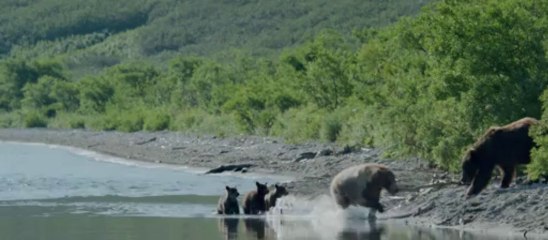 TERRE DES OURS EN 3D - Bande-annonce VF