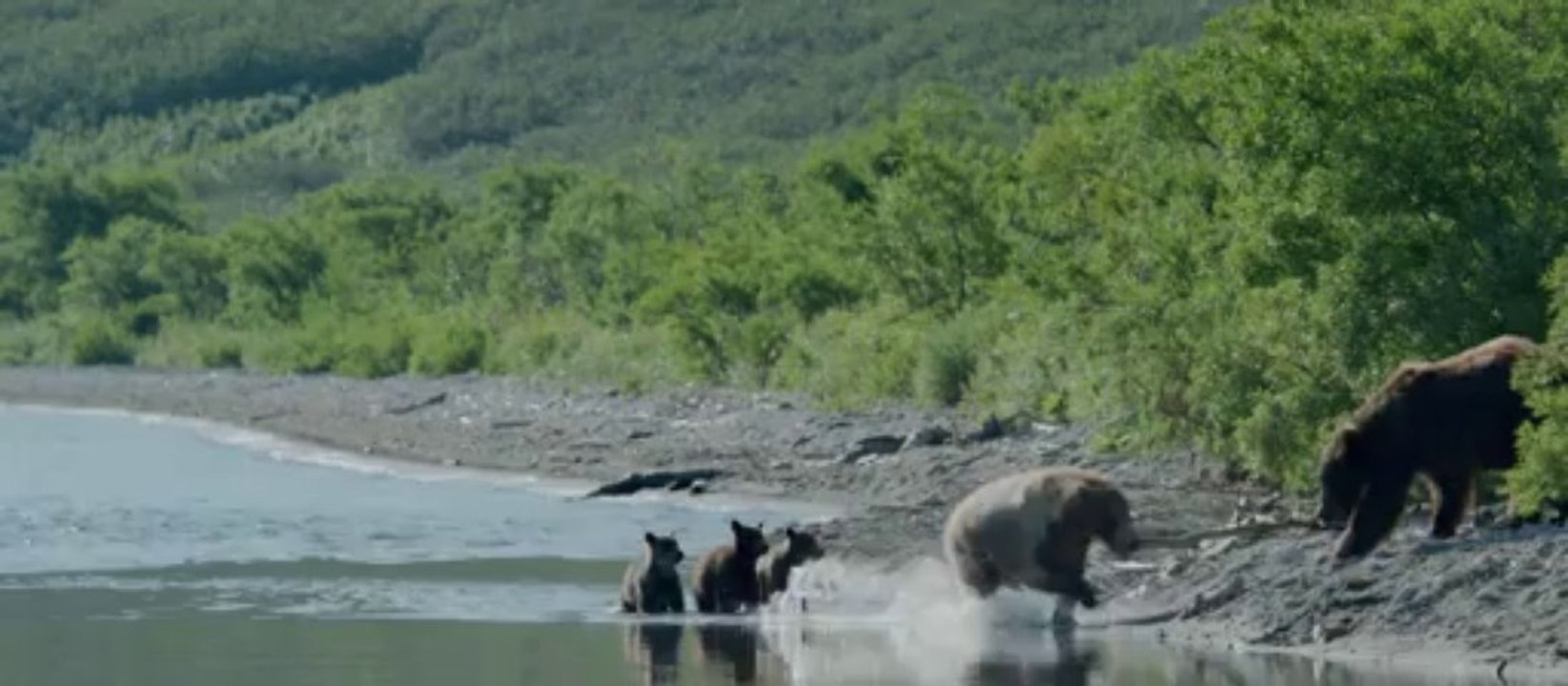 TERRE DES OURS EN 3D - Bande-annonce VF